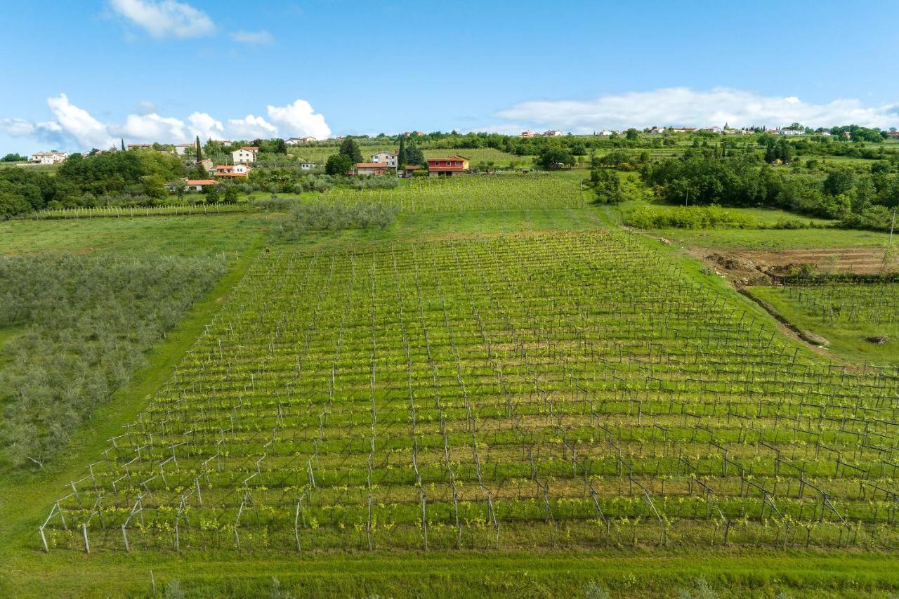 Touristfarm - Apartments "Red Fairytale" Marezige Εξωτερικό φωτογραφία
