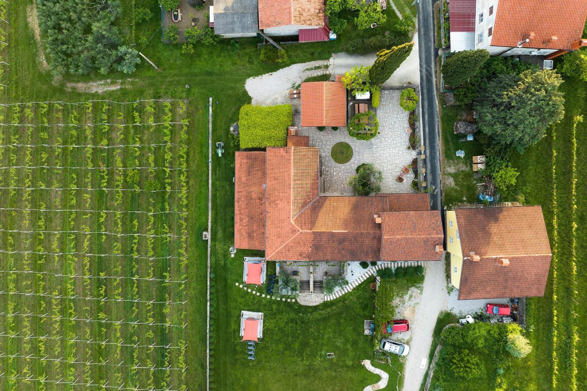 Touristfarm - Apartments "Red Fairytale" Marezige Εξωτερικό φωτογραφία